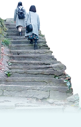 ロープウェイから見下ろす尾道の街並み